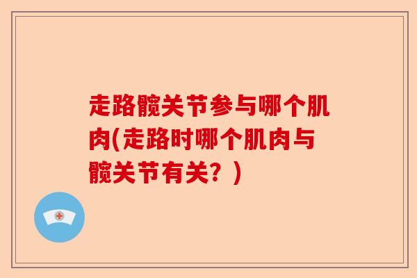 走路髋关节参与哪个肌肉(走路时哪个肌肉与髋关节有关？)