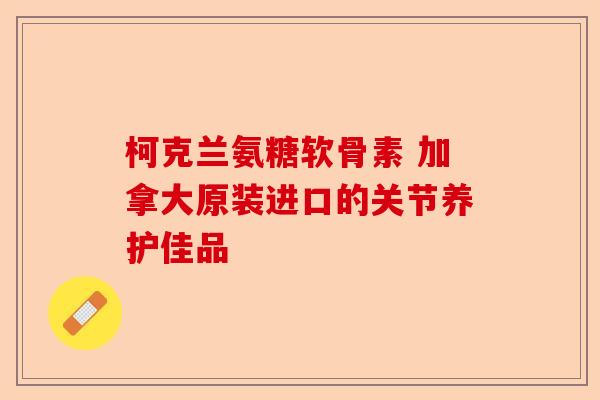 柯克兰氨糖软骨素 加拿大原装进口的关节养护佳品