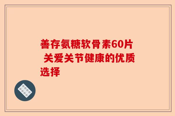善存氨糖软骨素60片 关爱关节健康的优质选择 善存氨糖软骨素60片 关爱关节健康的优质选择
