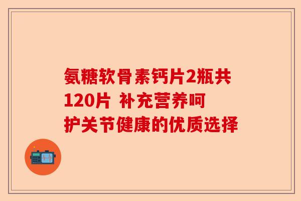 氨糖软骨素钙片2瓶共120片 补充营养呵护关节健康的优质选择