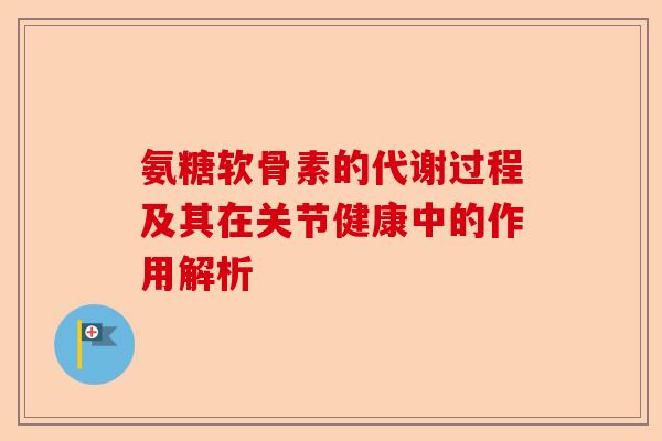 氨糖软骨素的代谢过程及其在关节健康中的作用解析
