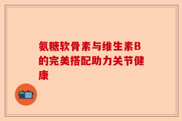 氨糖软骨素与维生素B的完美搭配助力关节健康