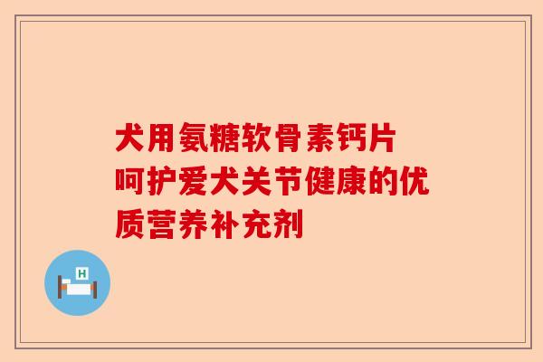 犬用氨糖软骨素钙片 呵护爱犬关节健康的优质营养补充剂 犬用氨糖软骨素钙片 呵护爱犬关节健康的优质营养补充剂