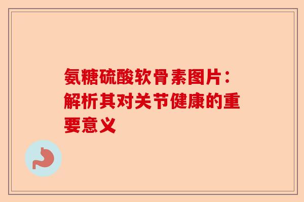 氨糖硫酸软骨素图片：解析其对关节健康的重要意义