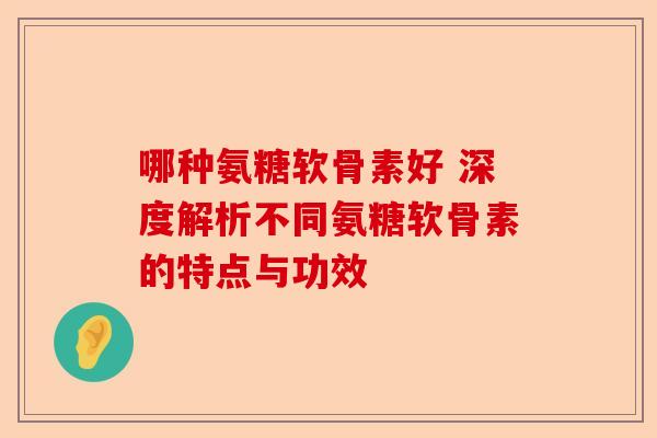 哪种氨糖软骨素好 深度解析不同氨糖软骨素的特点与功效