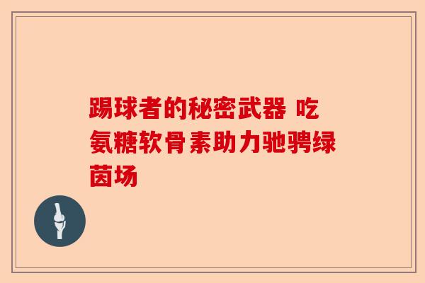 踢球者的秘密武器 吃氨糖软骨素助力驰骋绿茵场