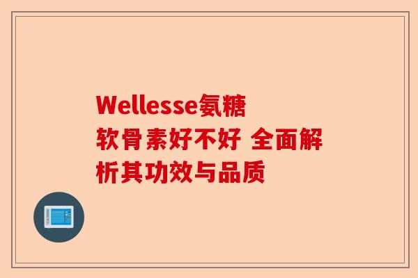 Wellesse氨糖软骨素好不好 全面解析其功效与品质