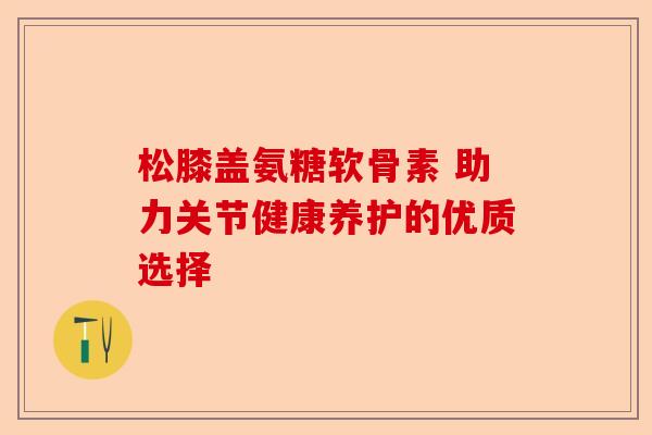 松膝盖氨糖软骨素 助力关节健康养护的优质选择
