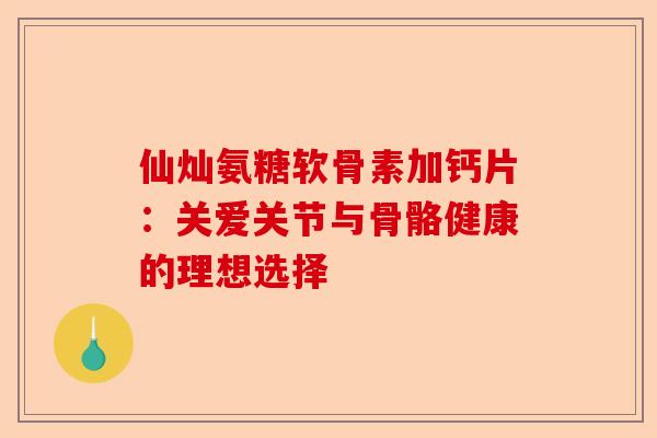 仙灿氨糖软骨素加钙片：关爱关节与骨骼健康的理想选择