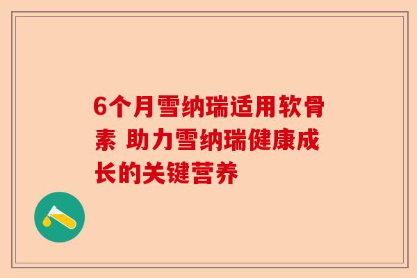 6个月雪纳瑞适用软骨素 助力雪纳瑞健康成长的关键营养