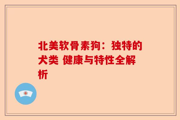 北美软骨素狗：独特的犬类 健康与特性全解析