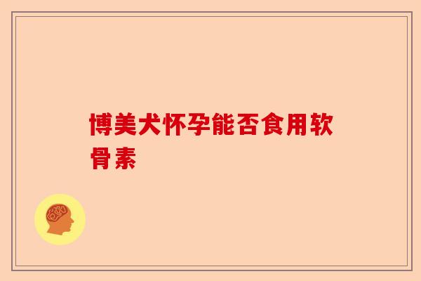 博美犬怀孕能否食用软骨素