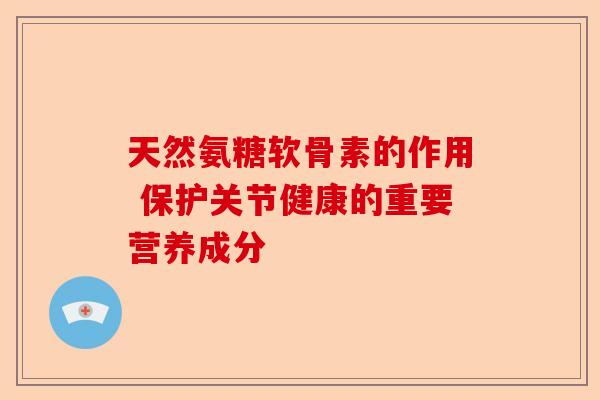 天然氨糖软骨素的作用 保护关节健康的重要营养成分