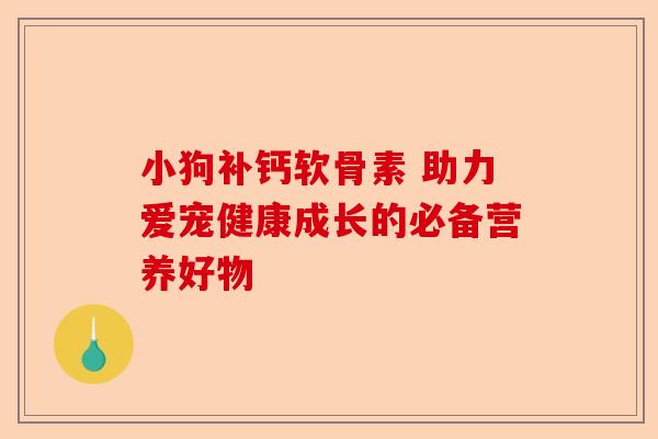 小狗补钙软骨素 助力爱宠健康成长的必备营养好物