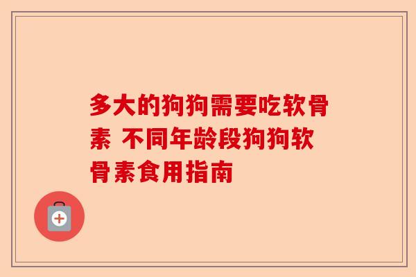 多大的狗狗需要吃软骨素 不同年龄段狗狗软骨素食用指南