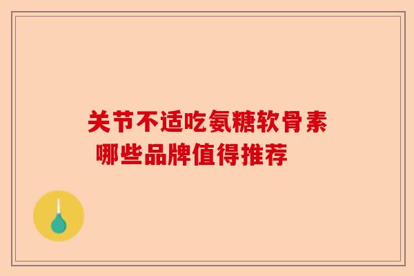 关节不适吃氨糖软骨素 哪些品牌值得推荐