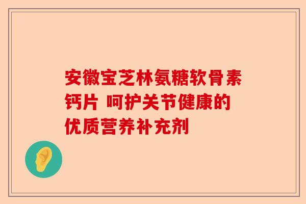 安徽宝芝林氨糖软骨素钙片 呵护关节健康的优质营养补充剂