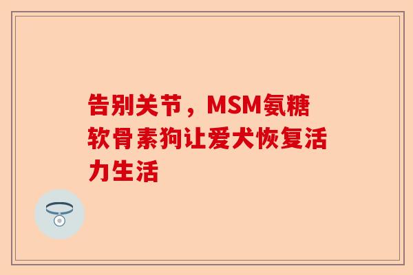 告别关节，MSM氨糖软骨素狗让爱犬恢复活力生活