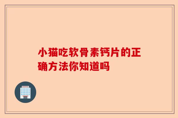 小猫吃软骨素钙片的正确方法你知道吗