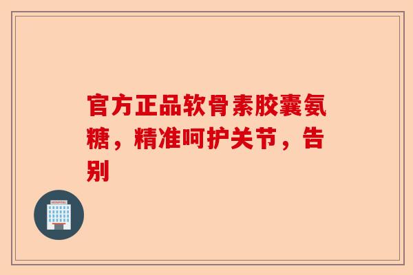 官方正品软骨素胶囊氨糖,精准呵护关节,告别 官方正品软骨素胶囊氨糖,精准呵护关节,告别