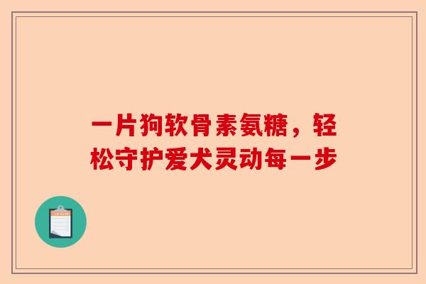 一片狗软骨素氨糖，轻松守护爱犬灵动每一步