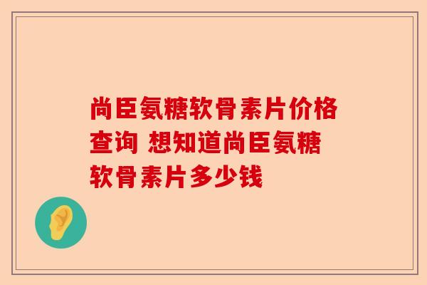 尚臣氨糖软骨素片价格查询 想知道尚臣氨糖软骨素片多少钱