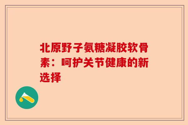 北原野子氨糖凝胶软骨素：呵护关节健康的新选择