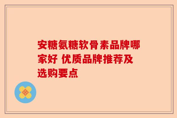 安糖氨糖软骨素品牌哪家好 优质品牌推荐及选购要点