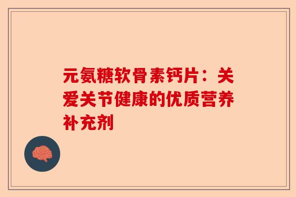元氨糖软骨素钙片：关爱关节健康的优质营养补充剂