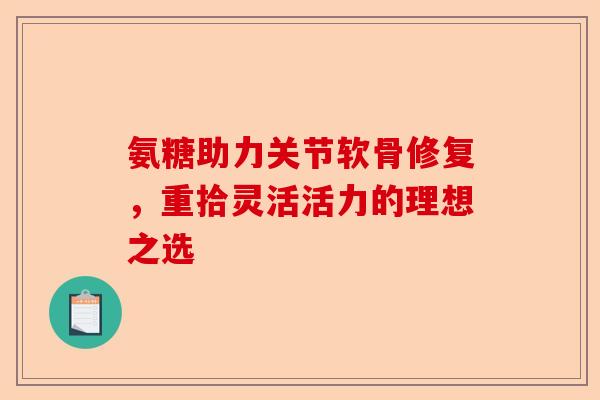 氨糖助力关节软骨修复，重拾灵活活力的理想之选