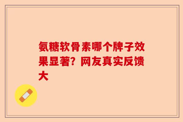 氨糖软骨素哪个牌子效果显著？网友真实反馈大