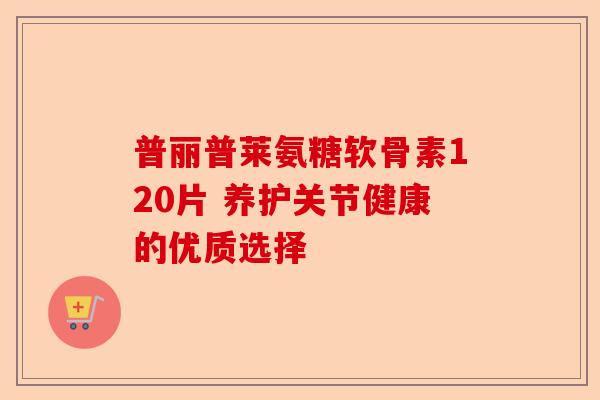 普丽普莱氨糖软骨素120片 养护关节健康的优质选择