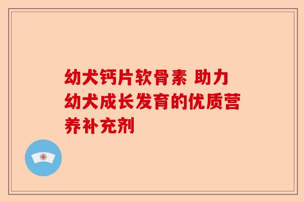幼犬钙片软骨素 助力幼犬成长发育的优质营养补充剂