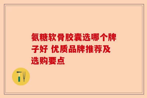 氨糖软骨胶囊选哪个牌子好 优质品牌推荐及选购要点 氨糖软骨胶囊选哪个牌子好 优质品牌推荐及选购要点