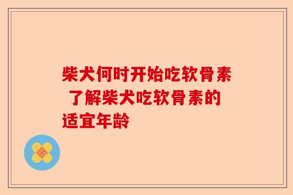 柴犬何时开始吃软骨素 了解柴犬吃软骨素的适宜年龄