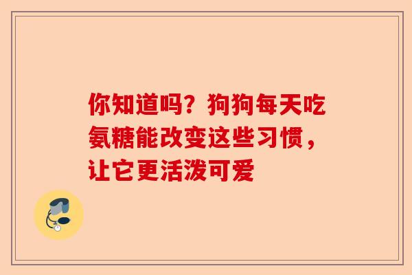 你知道吗？狗狗每天吃氨糖能改变这些习惯，让它更活泼可爱