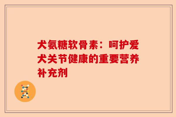 犬氨糖软骨素：呵护爱犬关节健康的重要营养补充剂