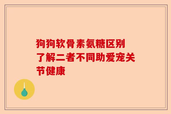 狗狗软骨素氨糖区别 了解二者不同助爱宠关节健康