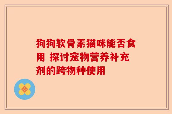 狗狗软骨素猫咪能否食用 探讨宠物营养补充剂的跨物种使用