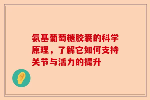 氨基葡萄糖胶囊的科学原理，了解它如何支持关节与活力的提升