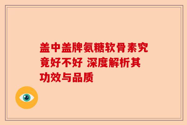 盖中盖牌氨糖软骨素究竟好不好 深度解析其功效与品质
