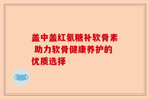 盖中盖红氨糖补软骨素 助力软骨健康养护的优质选择