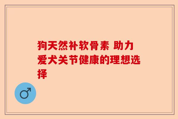 狗天然补软骨素 助力爱犬关节健康的理想选择