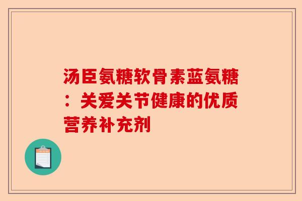汤臣氨糖软骨素蓝氨糖：关爱关节健康的优质营养补充剂