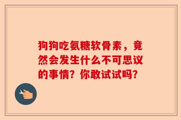 狗狗吃氨糖软骨素，竟然会发生什么不可思议的事情？你敢试试吗？