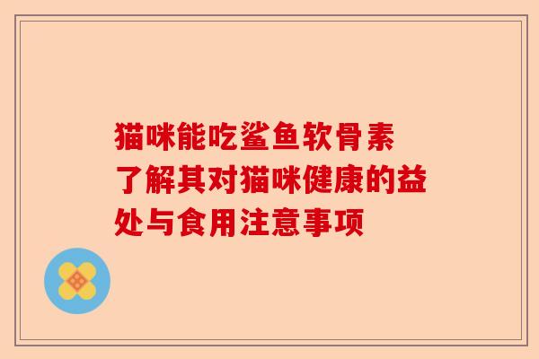 猫咪能吃鲨鱼软骨素 了解其对猫咪健康的益处与食用注意事项