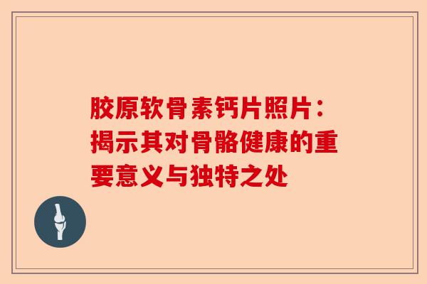 胶原软骨素钙片照片：揭示其对骨骼健康的重要意义与独特之处