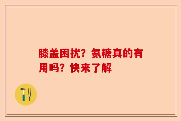 膝盖困扰？氨糖真的有用吗？快来了解