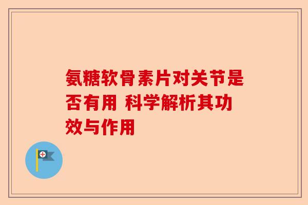 氨糖软骨素片对关节是否有用 科学解析其功效与作用