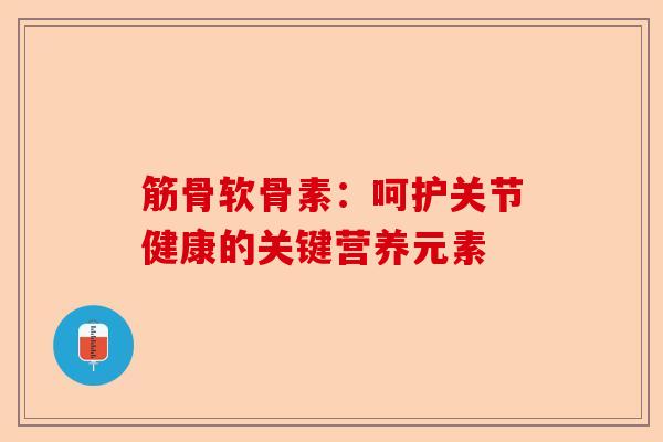 筋骨软骨素：呵护关节健康的关键营养元素